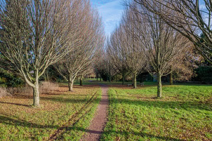 Foto 72 van Bosrank 24