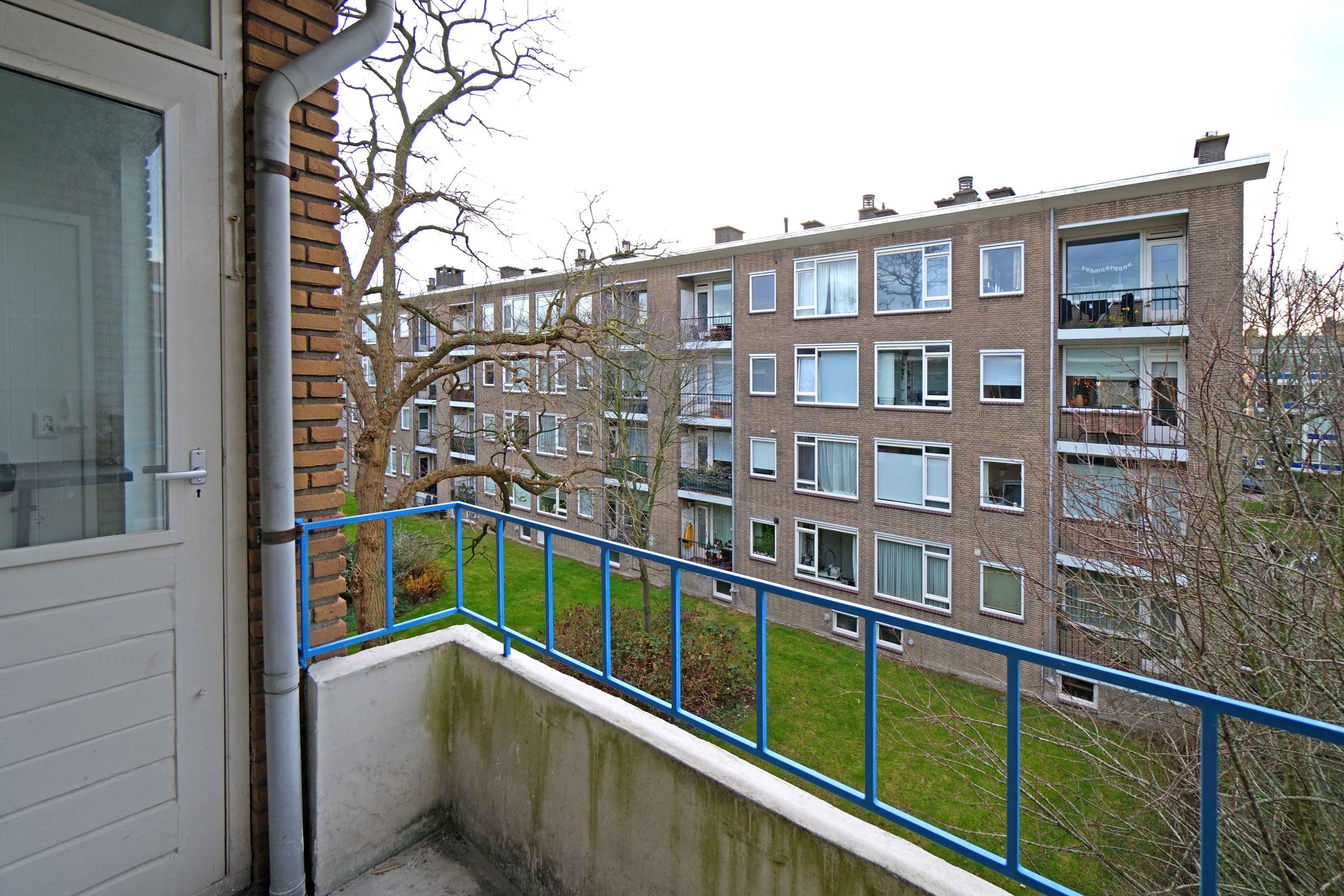 Photo 9 of Queridostraat 55