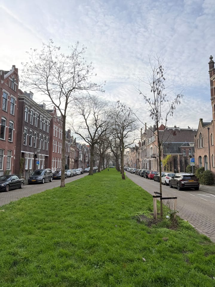 Foto 38 van Aegidiusstraat 179