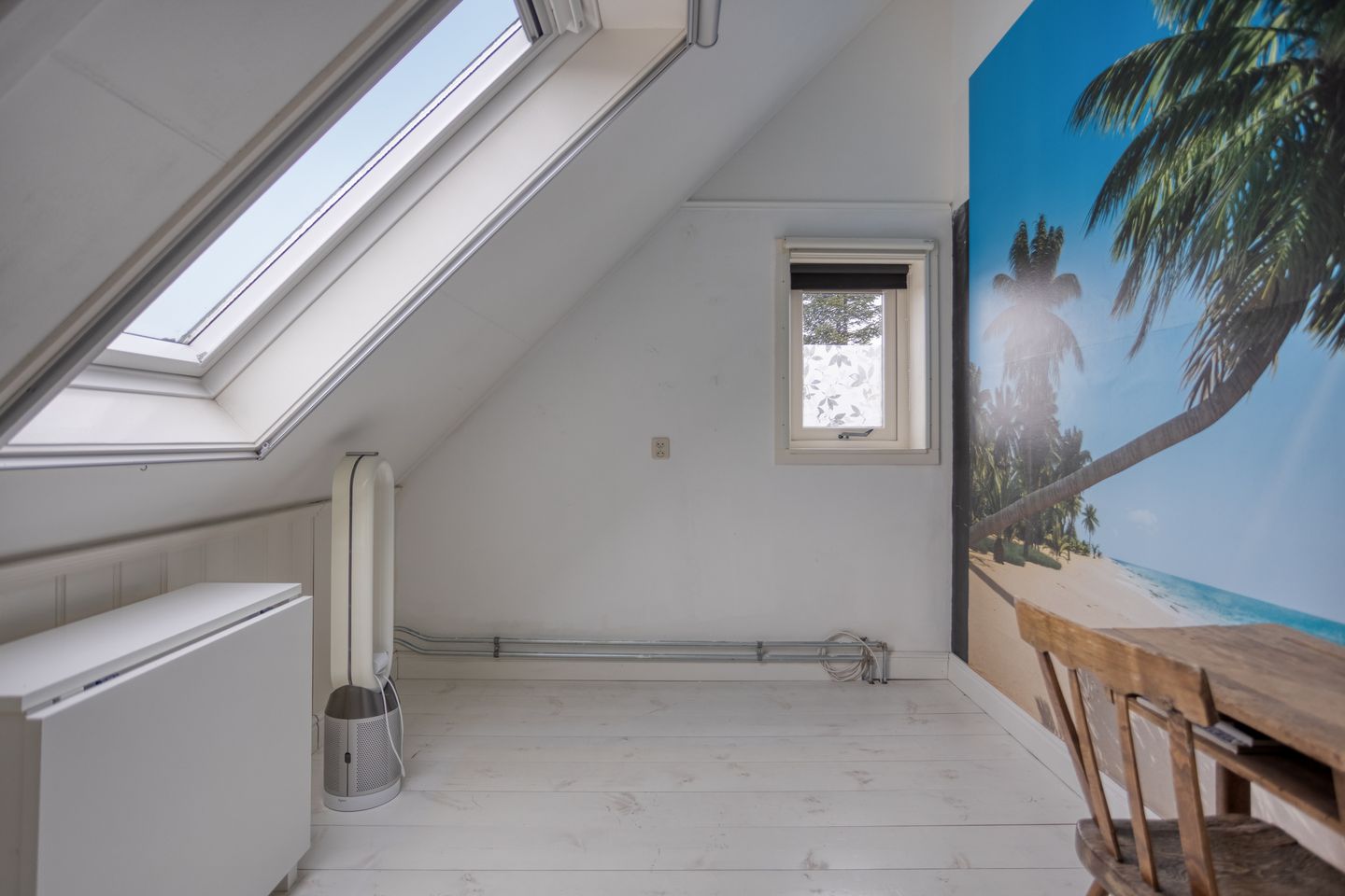 Foto 44 van Watermunt 6