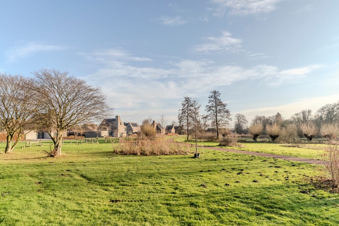 Foto 37 van Meeuwenhof 20