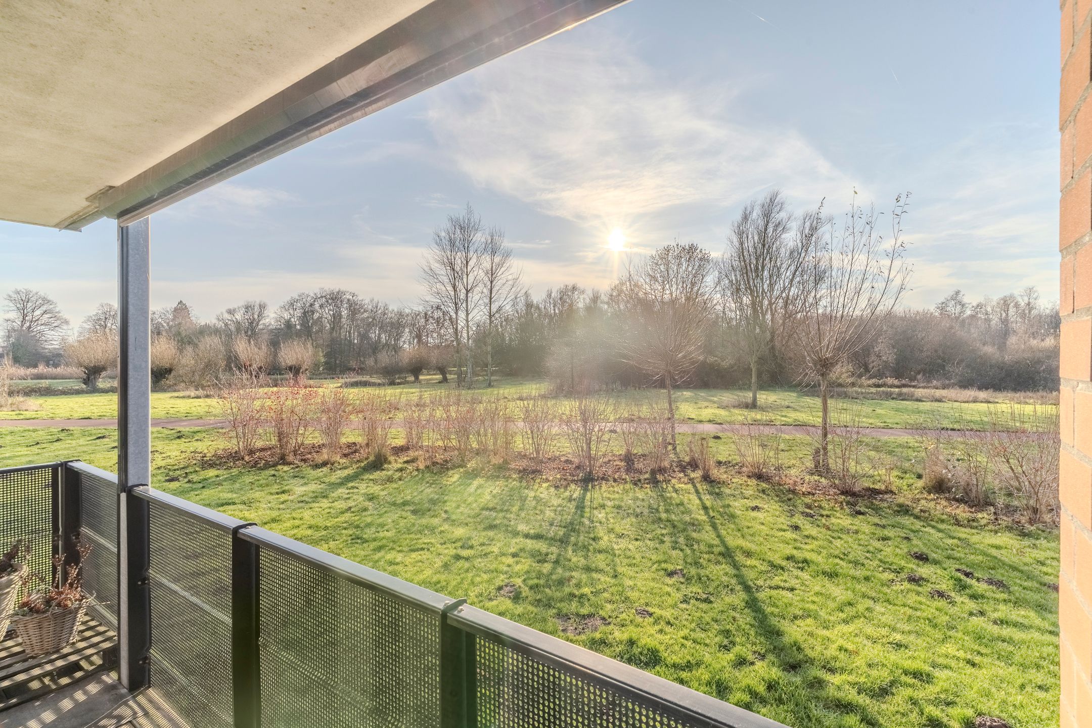 Foto 39 van Meeuwenhof 20