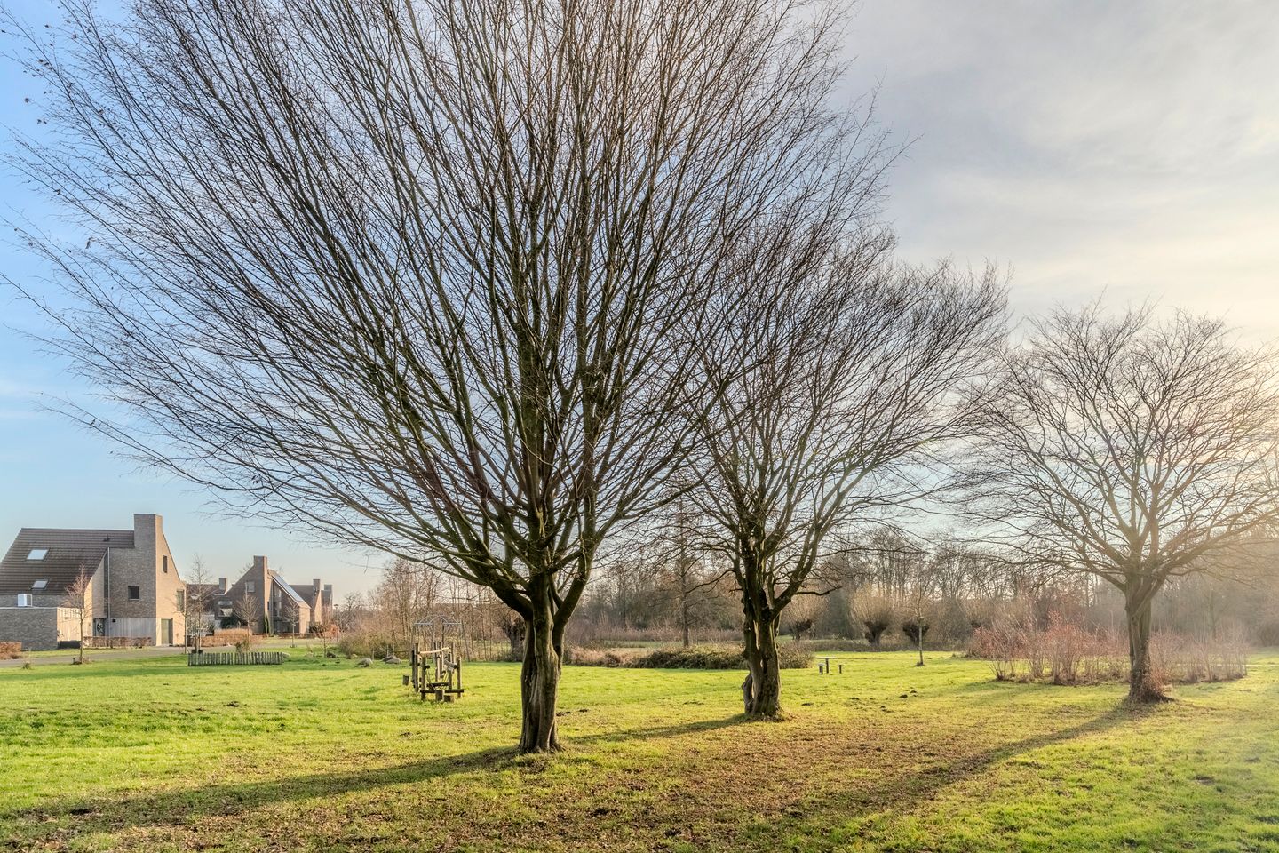 Foto 50 van Meeuwenhof 20