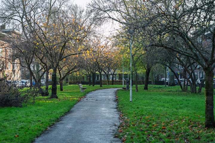 Foto 22 van De Savornin Lohmanlaan 67-A02