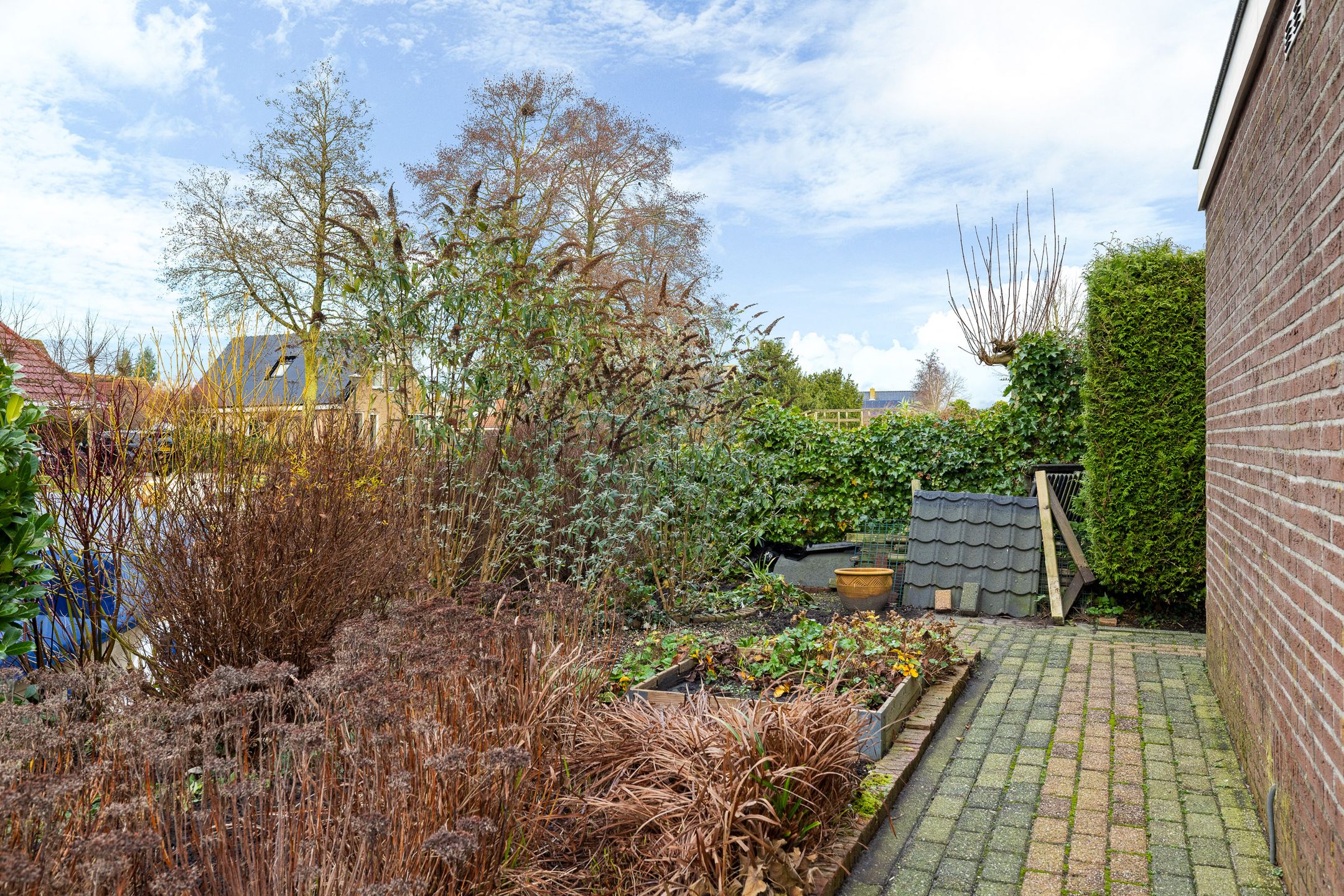 Foto 36 van De Skuorrereed 7