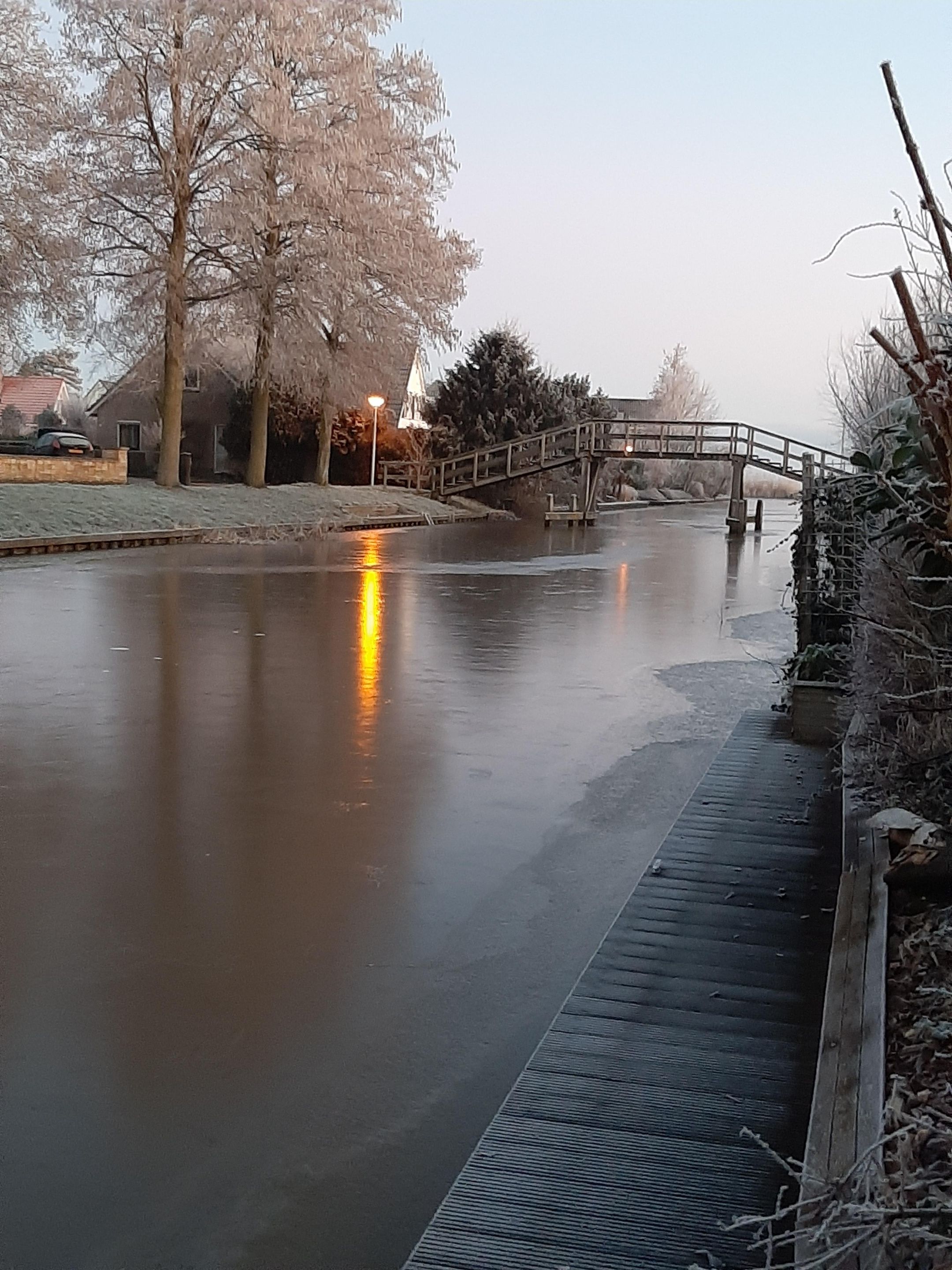 Foto 48 van De Skuorrereed 7