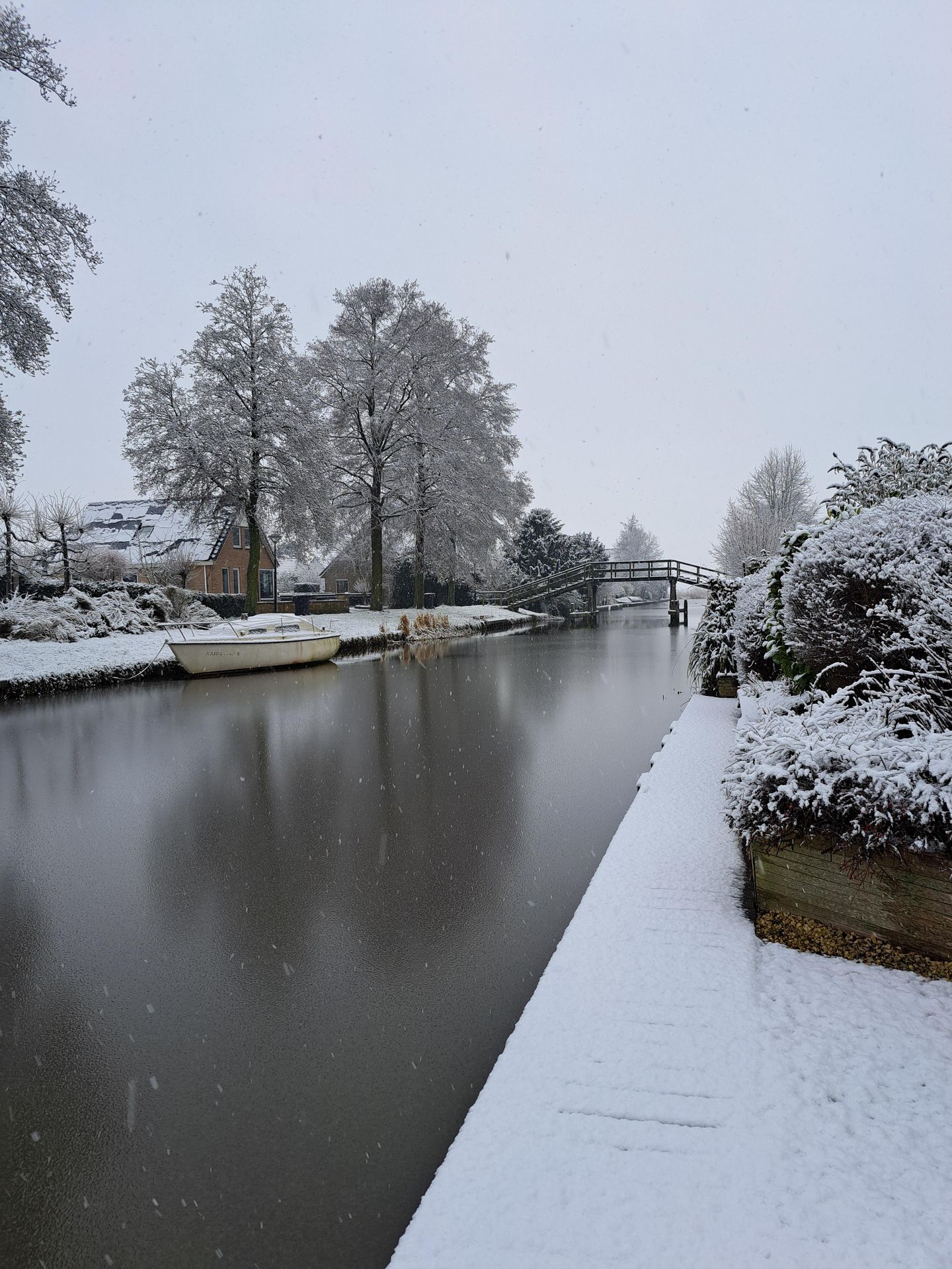 Foto 49 van De Skuorrereed 7