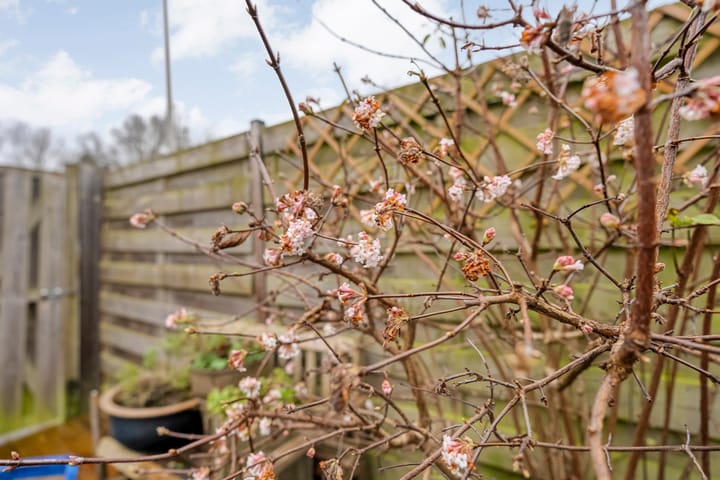 Foto 31 van Theo van Doesburgplantsoen 17