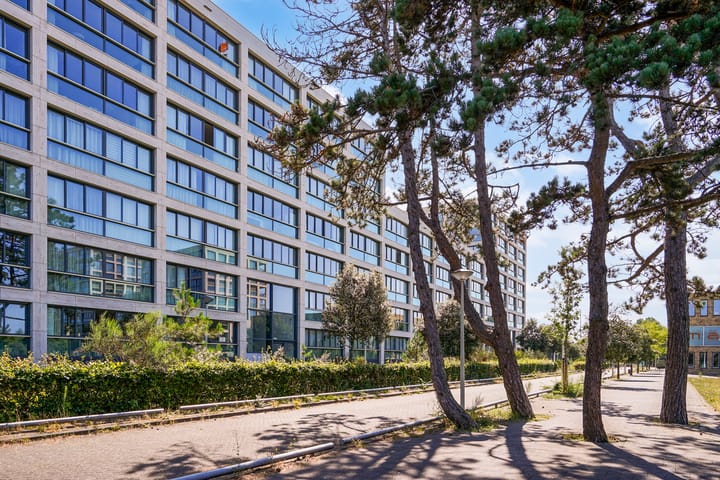 Photo 40 of Tjalie Robinsonduin 27