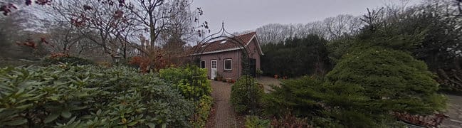 Achtertuin