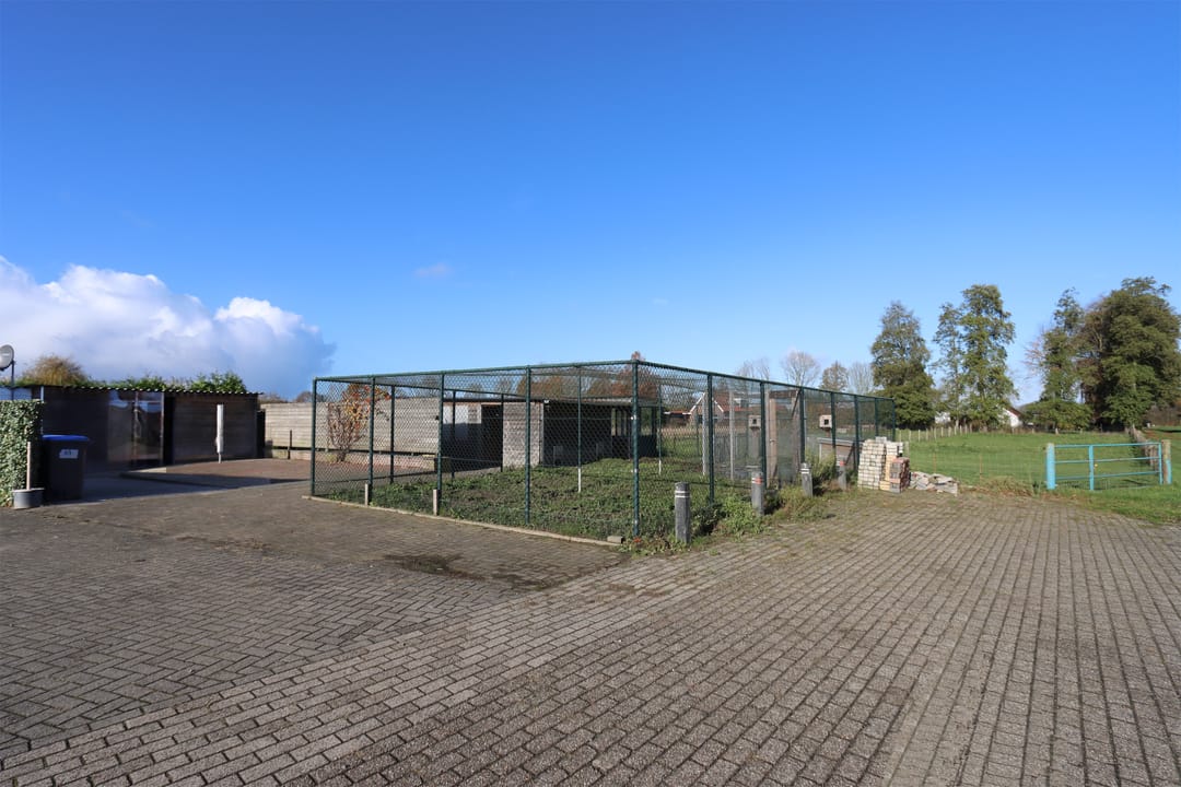 Foto 2 van Hoge Horst 57