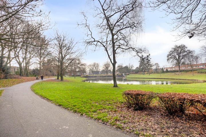 Foto 30 van Henri Dunantlaan 87