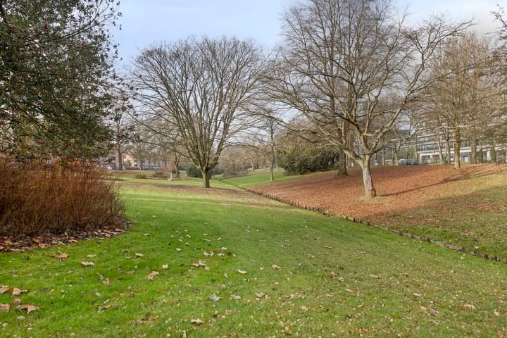 Foto 32 van Henri Dunantlaan 87