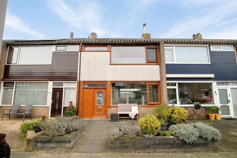 undefined main image