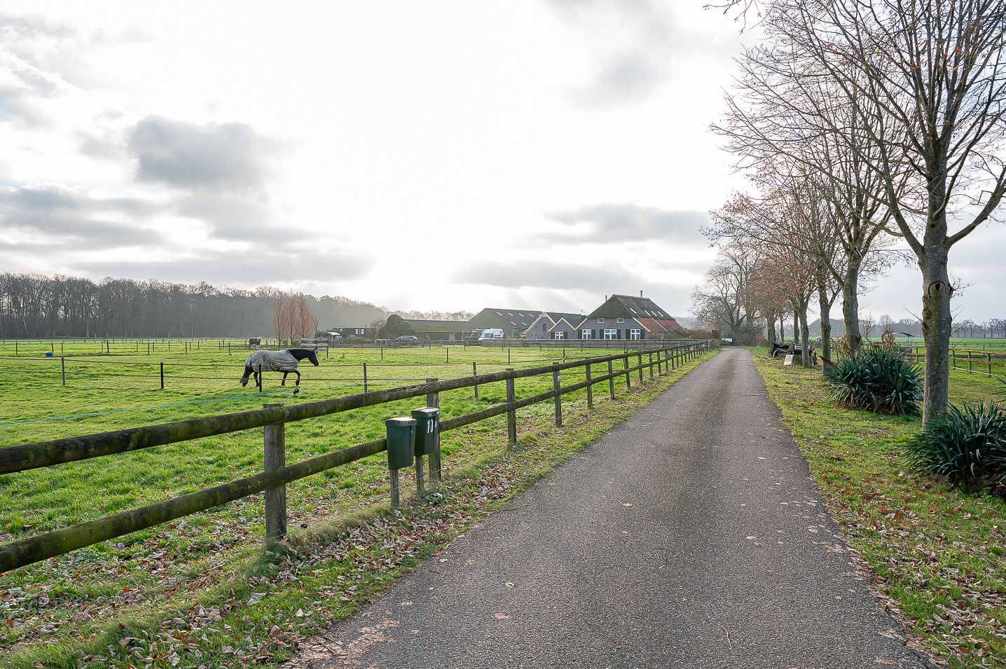 Foto 6 van Varsselseweg 10