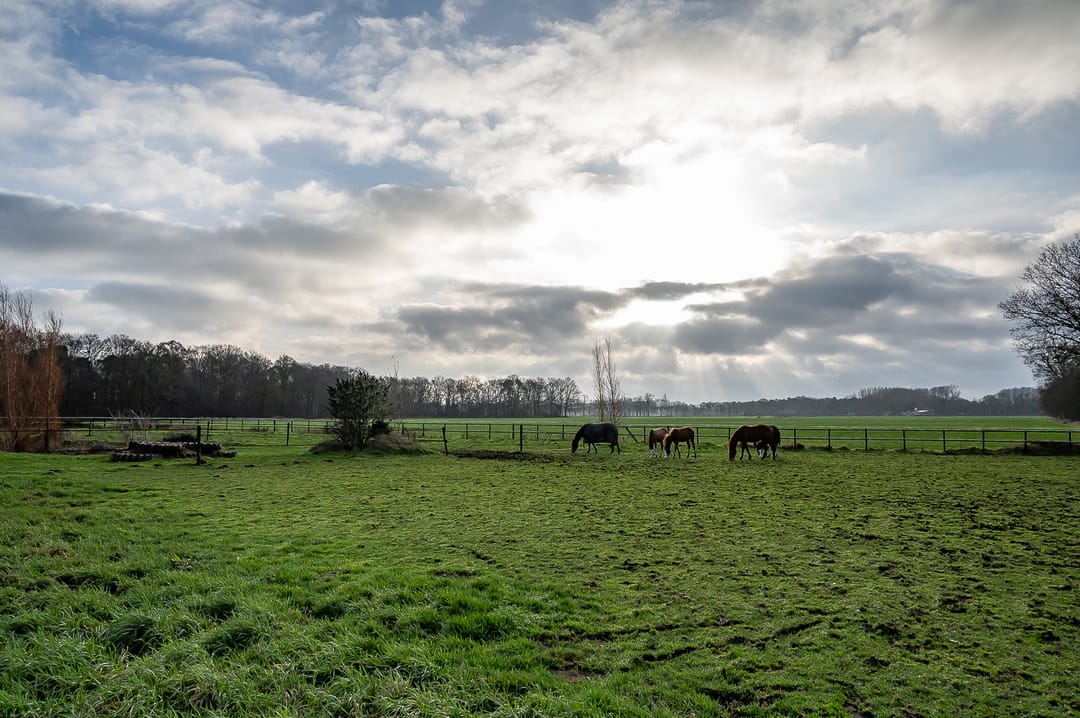 Foto 17 van Varsselseweg 10