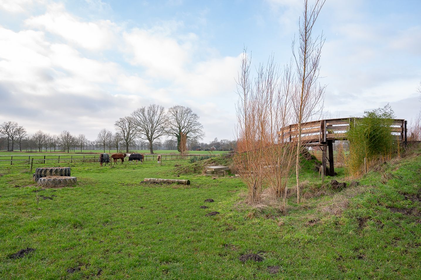 Foto 18 van Varsselseweg 10