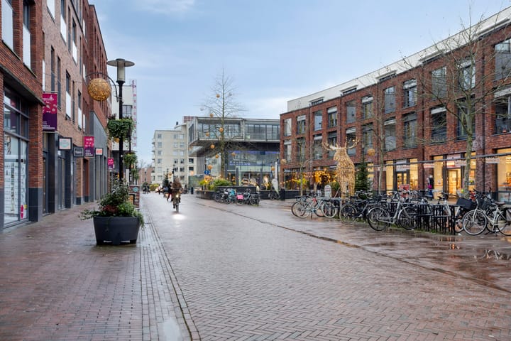 Foto 50 van Ceresplein 80