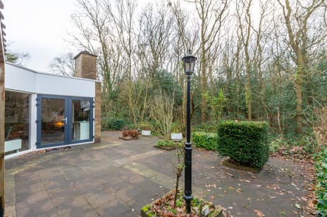 undefined main image