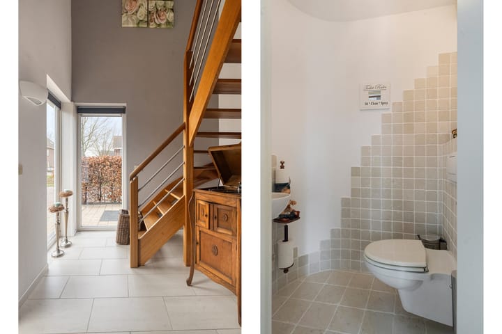 Foto 3 van Dansvlinder 4