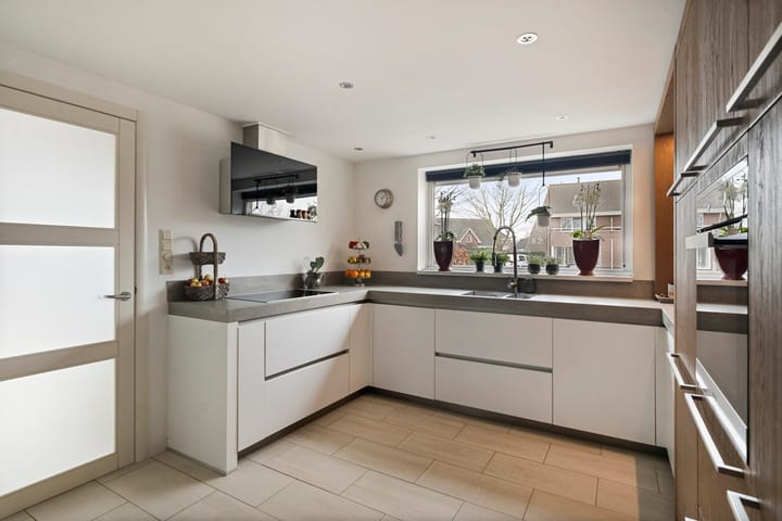 Foto 5 van Dansvlinder 4