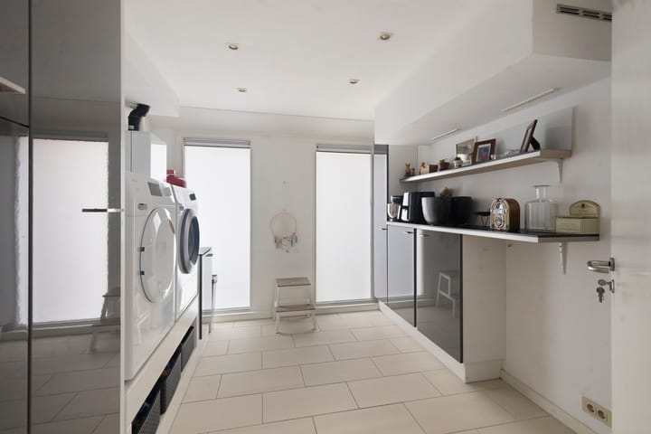 Foto 12 van Dansvlinder 4