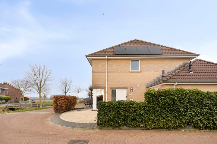 Foto 30 van Dansvlinder 4