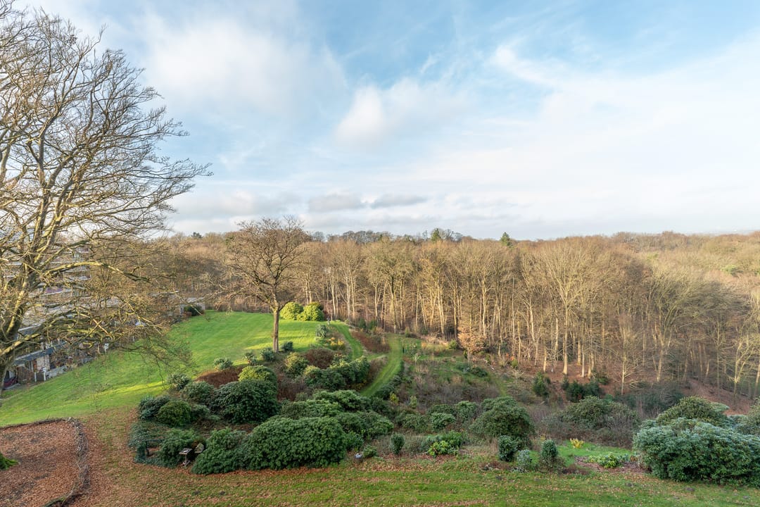 Foto 22 van Oude Kleefsebaan 355