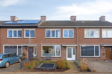 undefined main image