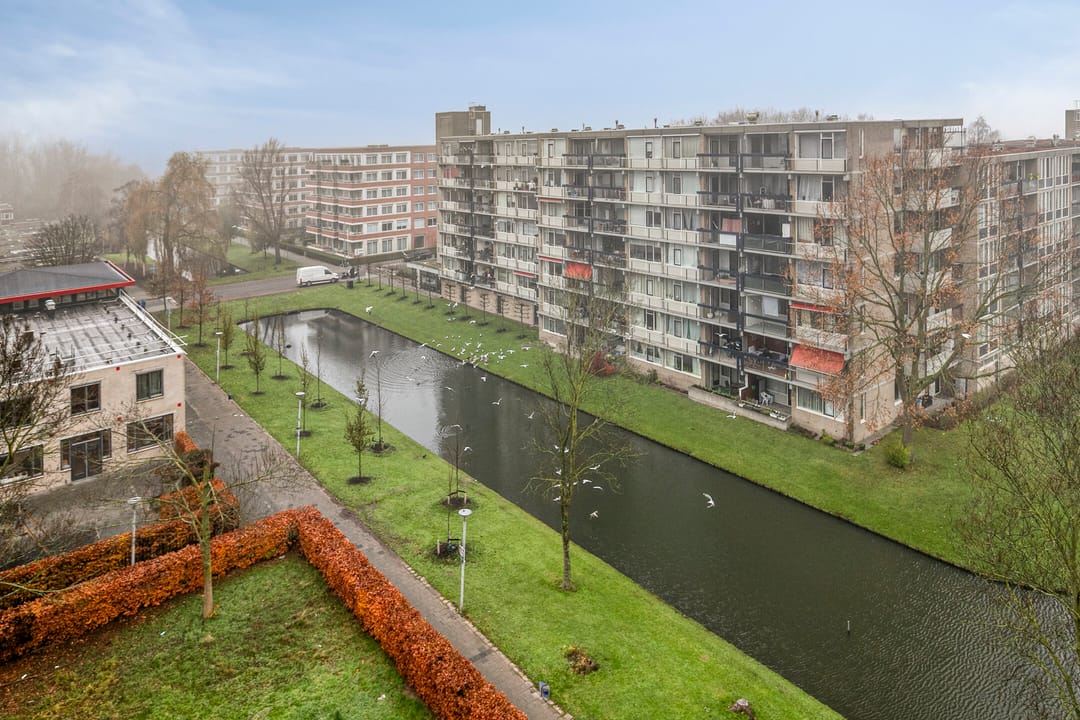 Foto 22 van Plein 1953 143