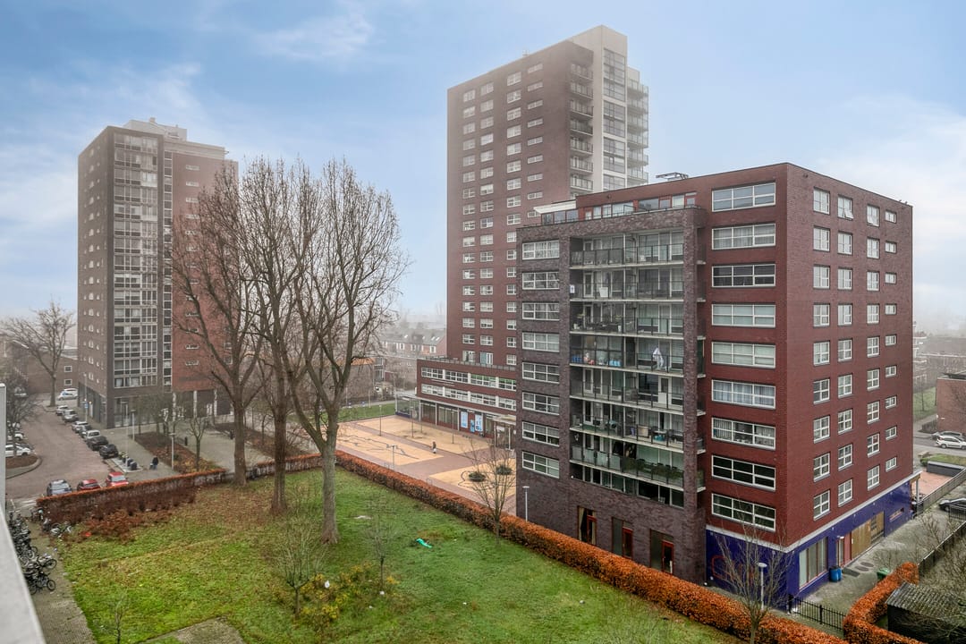 Foto 23 van Plein 1953 143