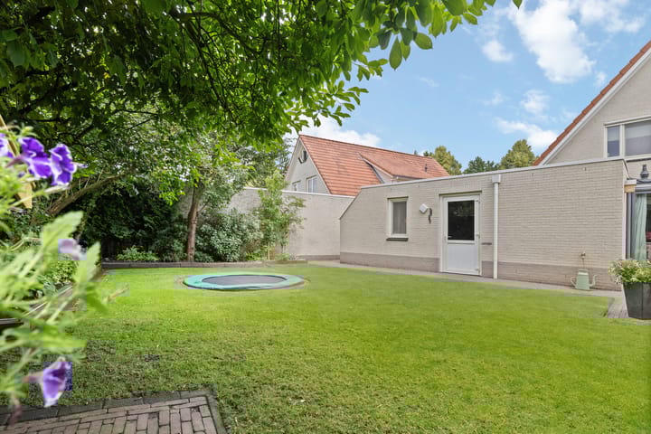 Photo 42 of Zandrug 29