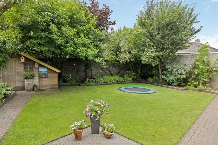 Photo 43 of Zandrug 29