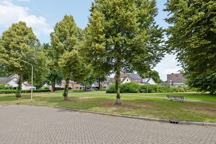 Photo 46 of Zandrug 29