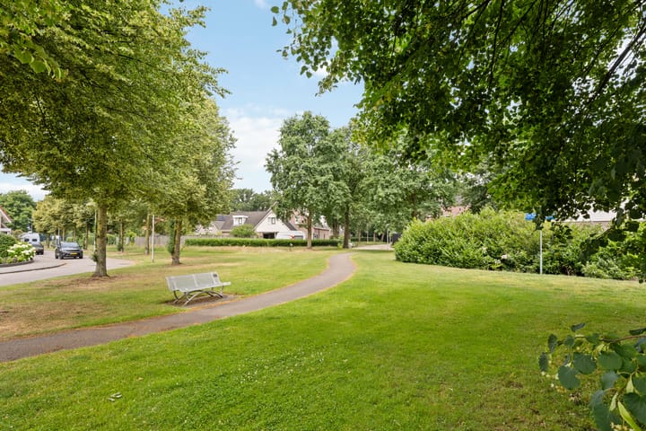 Photo 47 of Zandrug 29