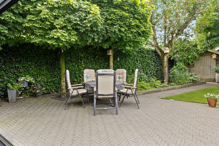 Photo 37 of Zandrug 29