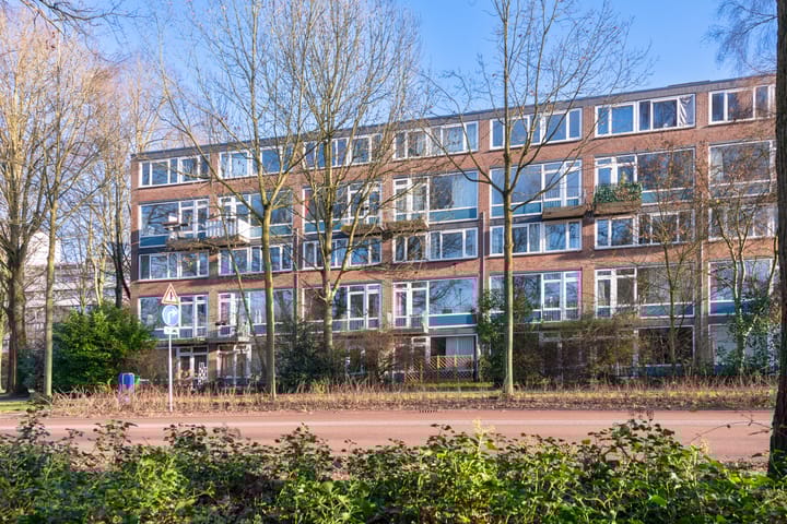 Photo 31 of Van 't Hoffstraat 65