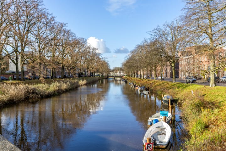 Foto 48 van Driehoefijzersstraat 17