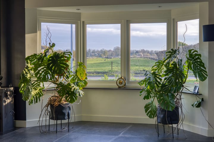 Foto 26 van Koewijzend 43-A