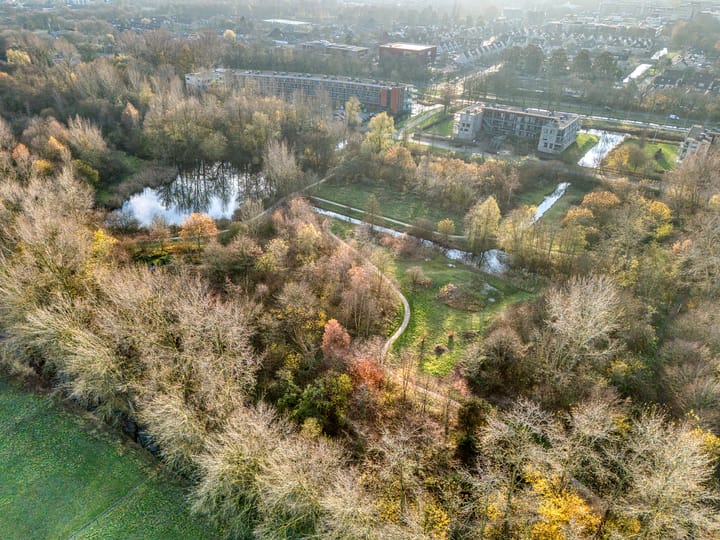 Foto 58 van Koewijzend 43-A