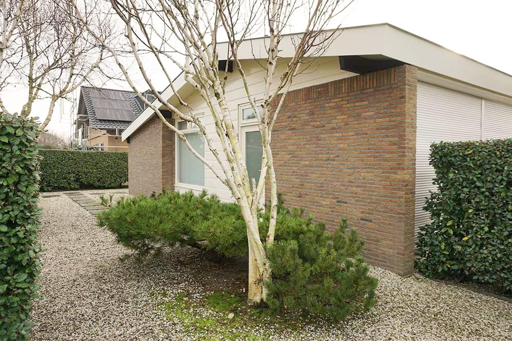 Photo 1 of Parnassia 34