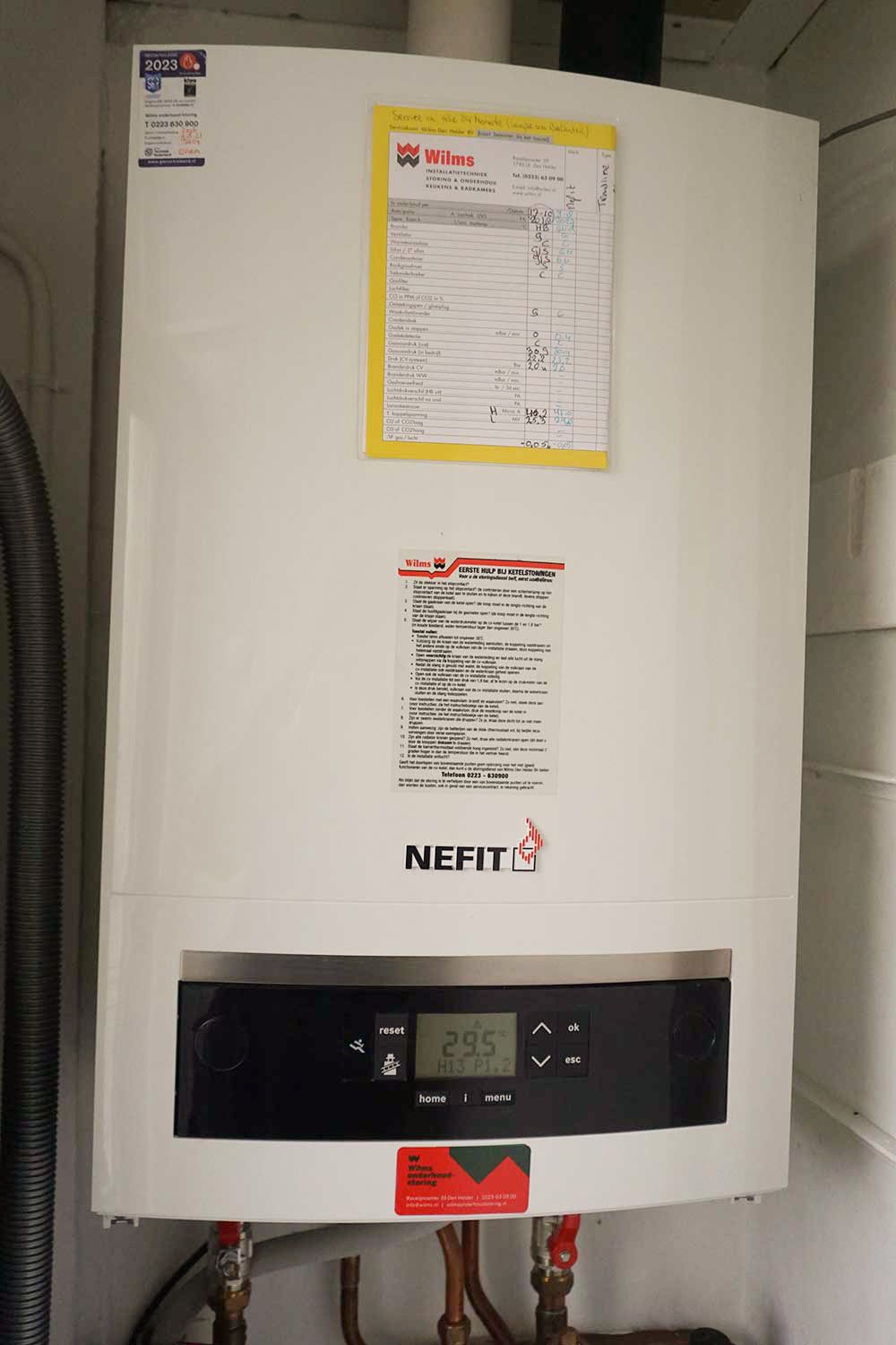 Photo 23 of Parnassia 34