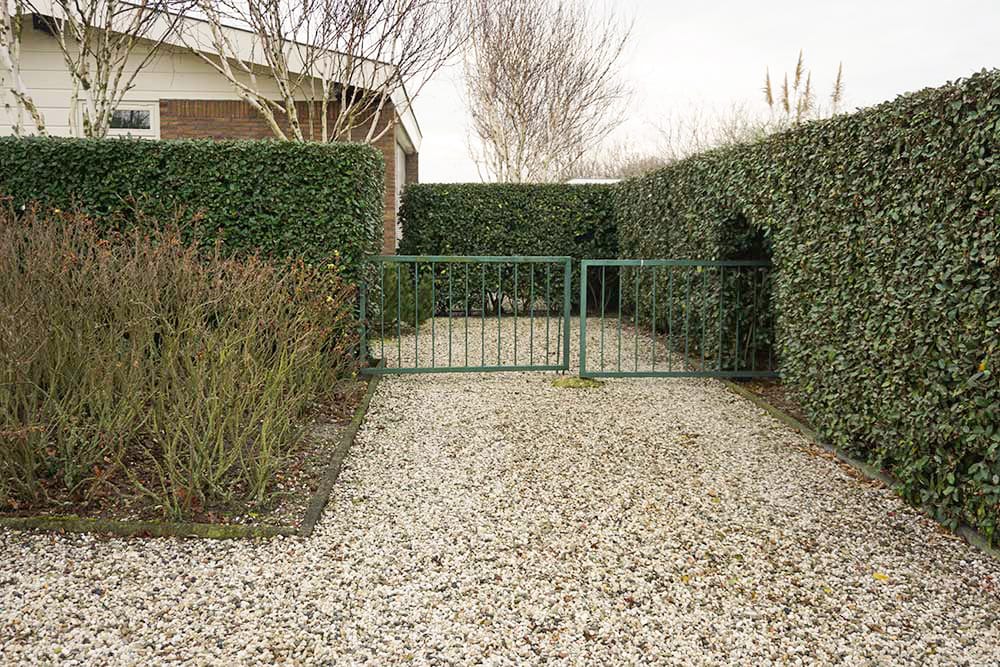 Photo 24 of Parnassia 34