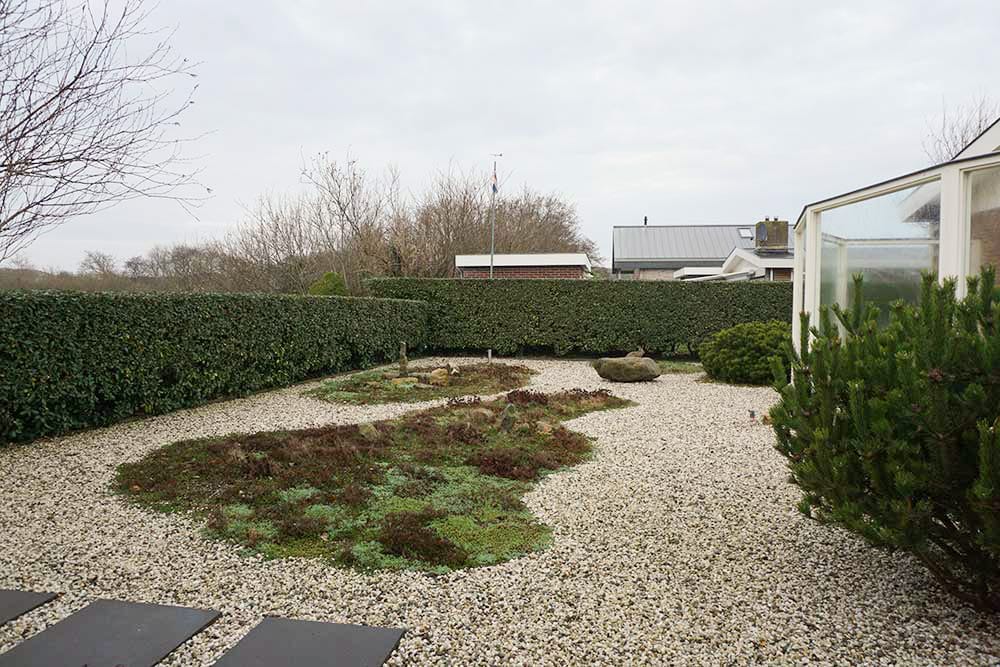 Photo 25 of Parnassia 34