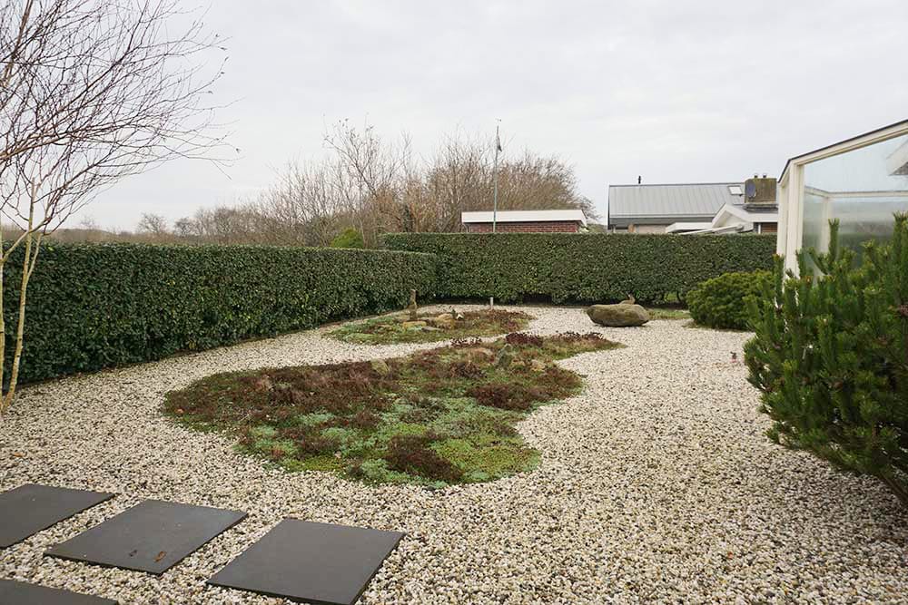 Photo 27 of Parnassia 34