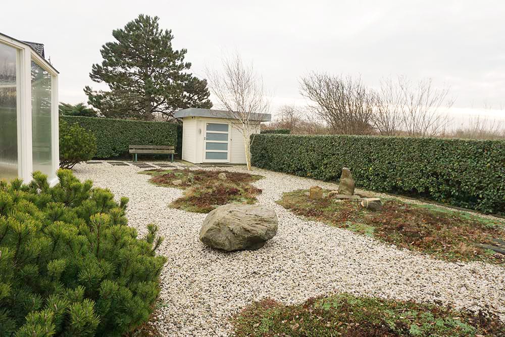 Photo 29 of Parnassia 34