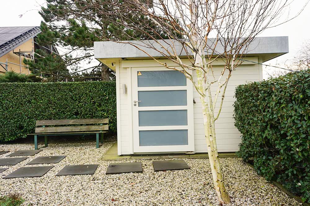 Photo 31 of Parnassia 34