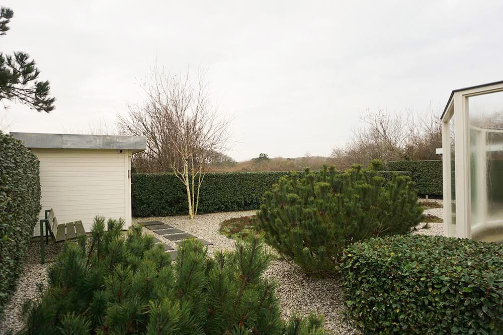 Photo 33 of Parnassia 34