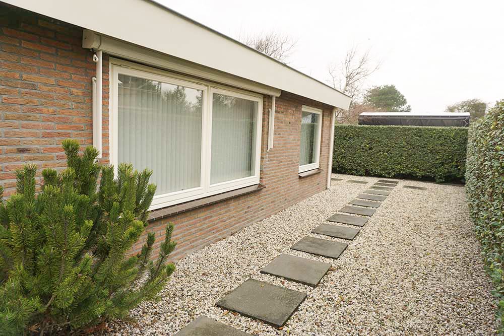 Photo 34 of Parnassia 34