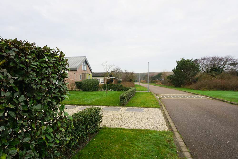 Photo 35 of Parnassia 34